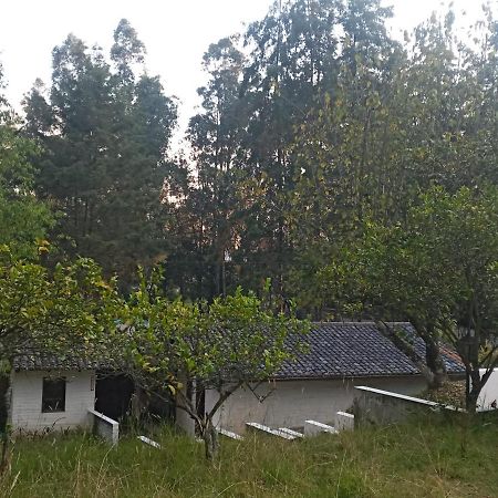 Quinta Los Eucaliptos Villa Quito Bagian luar foto